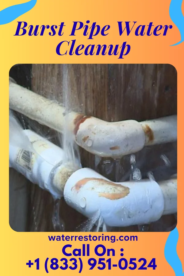 Burst Pipe Water Cleanup in Macomb, IL